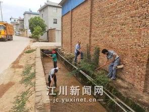 清河大街吃瓜,瓜果飘香，品味人间烟火