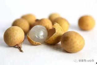 人流后可以吃蒲瓜吗,蒲瓜的营养与恢复作用