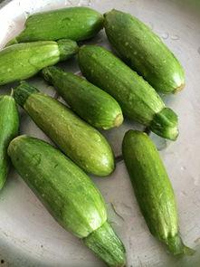 小角瓜干吃,美味零食，健康生活新选择