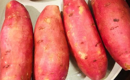 吃瓜能吃红薯,吃瓜也能尝鲜红薯美味