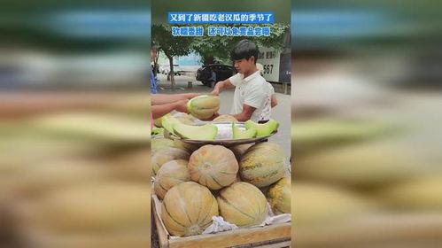 吃老汉瓜季节,尽享清凉美味时光