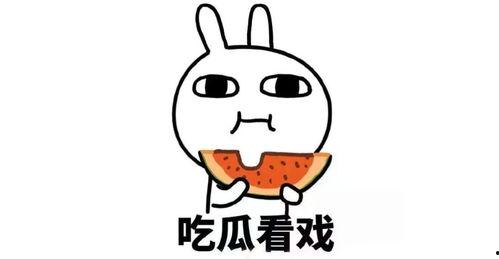 吃瓜群求分享,一起分享那些让人捧腹大笑的趣事