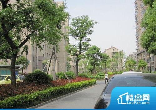 御河苑吃瓜,揭秘网红吃瓜现场，趣味横生！