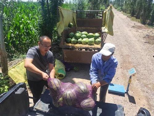 金昌吃瓜老头是谁,网络红人的崛起之路