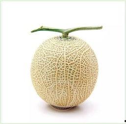 网纹瓜可以吃么,美味可口的健康之选