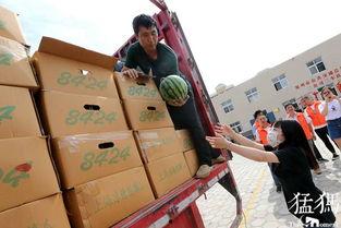 天津公交吃瓜,市民热议的街头现象