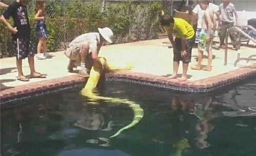 岸边吃瓜的人,见证人间百态的闲适生活