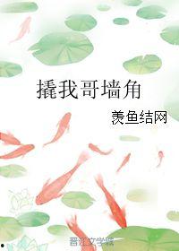 鱼儿吃瓜小说,一场奇幻的海洋冒险之旅