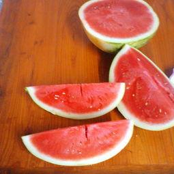 吃冰凉瓜,冰凉瓜果，清凉一夏