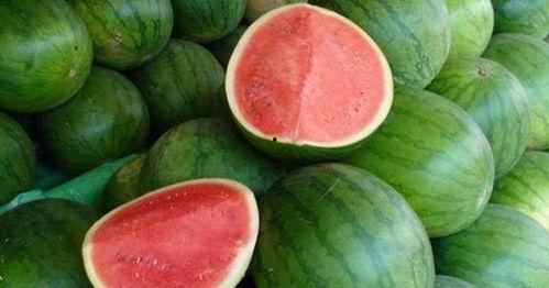 怎样挑好的吃瓜