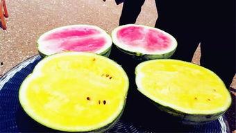 6月吃瓜爆料,娱乐圈爆料大揭秘