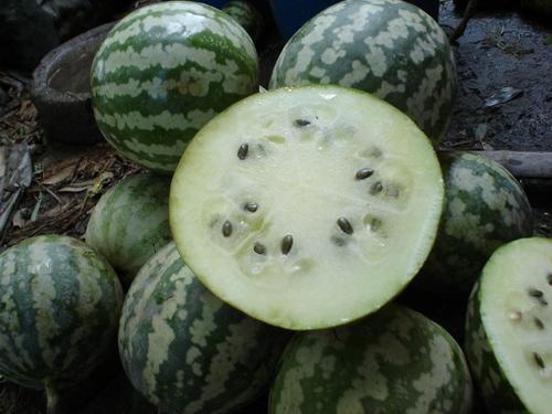 吃绿宝瓜文案搞笑,笑果连连，瓜香四溢！