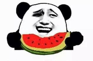 群众吃瓜正确姿势,解锁正确姿势，畅享瓜界盛宴