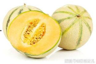 减肥可以吃田瓜吗,健康美味两不误
