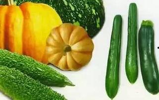 秋秋吃瓜khc,揭秘KHC背后的故事与魅力