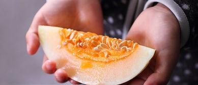 吃瓜海盐,独特风味背后的故事