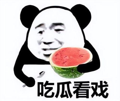 买瓜吃瓜图片表情包,买瓜吃瓜表情包趣味横生