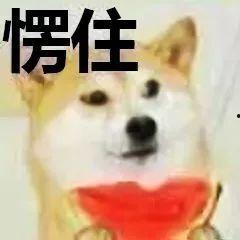 凑热闹吃瓜素材,揭秘明星们的“凑热闹”吃瓜大作战